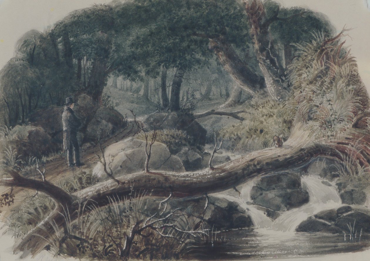 树林的入口，1836年。 作者 罗伯特·沃尔特·威尔
