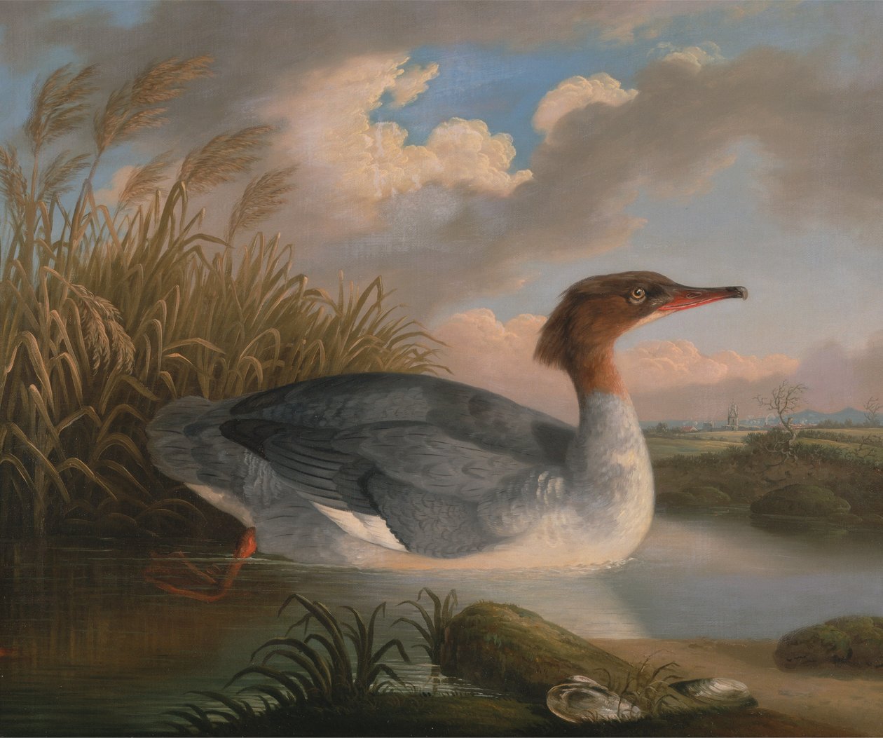 敦潜水员（Goosander） 作者 罗伯特·威尔金森·帕德利