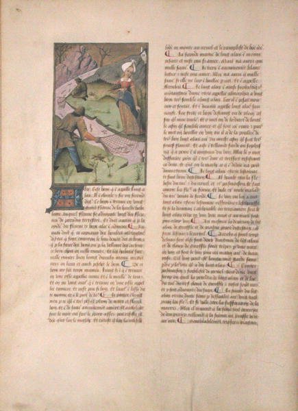 女士Fv VI＃1 fol。 5v钓鱼，简单药物书由Matthaeus Platerius（dc1161）c.1470 作者 罗宾特·德斯塔德