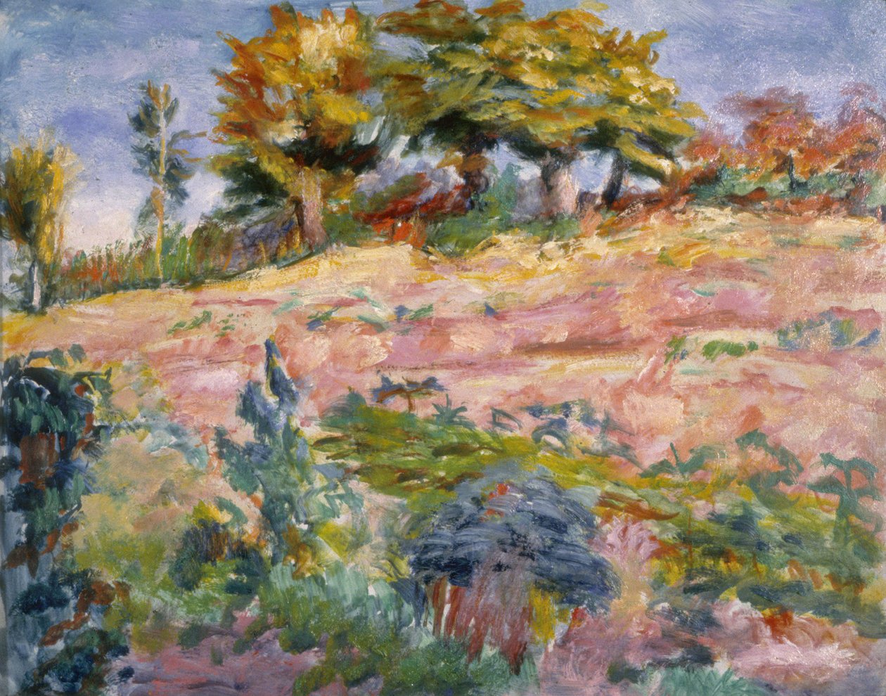 景观，c.1910 作者 罗德里克·奥科诺