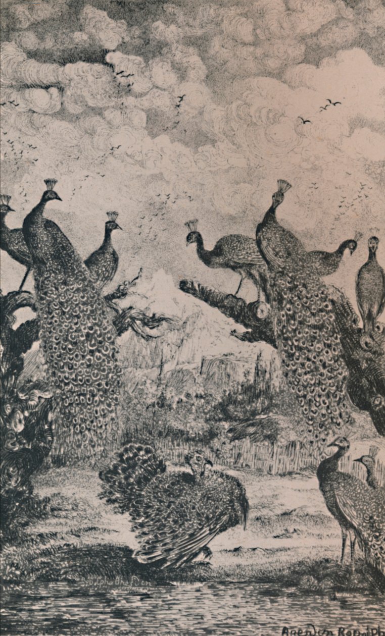 孔雀，1869年，1946年 作者 罗道夫·布雷斯丁