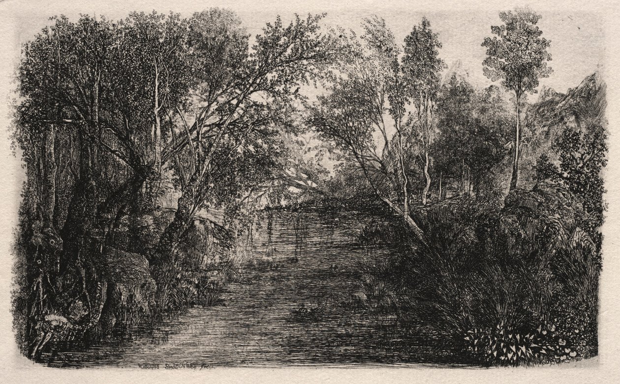 The Stream，1880年。 作者 罗道夫·布雷斯丁