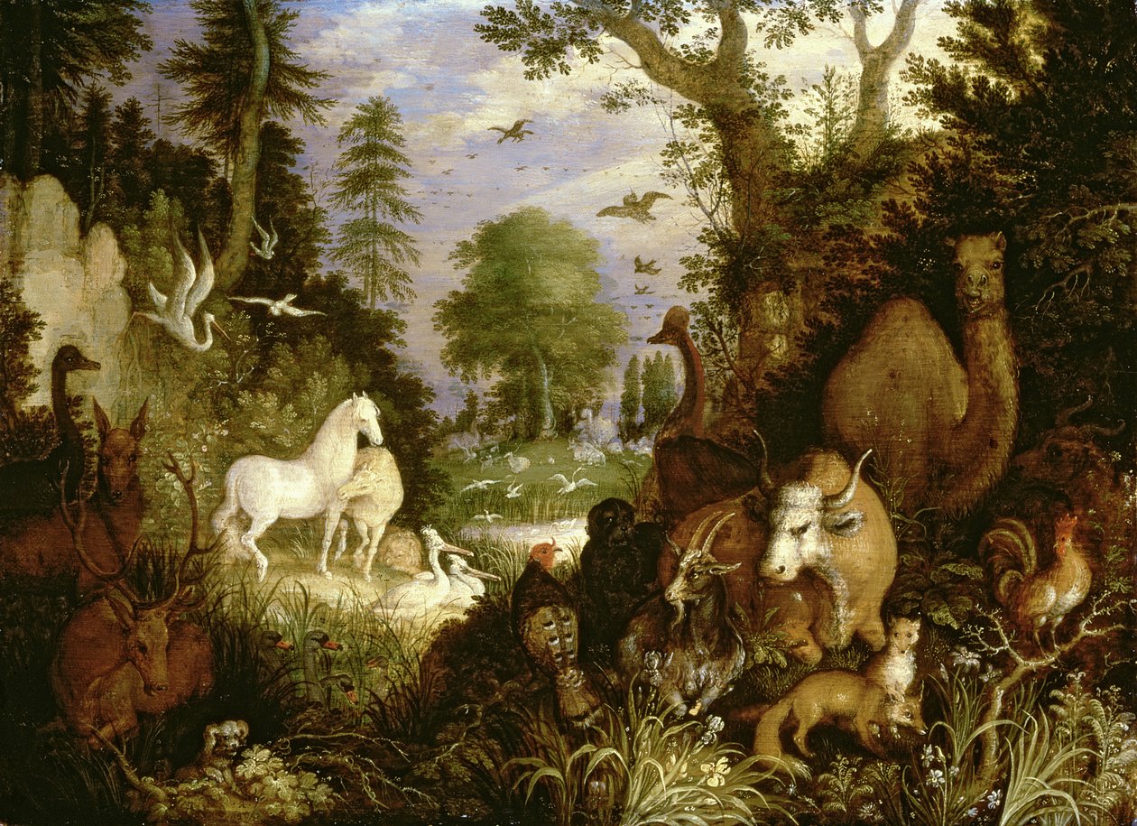 伊甸园 作者 罗兰特·雅各布斯（Roelandt Jacobsz）。储蓄