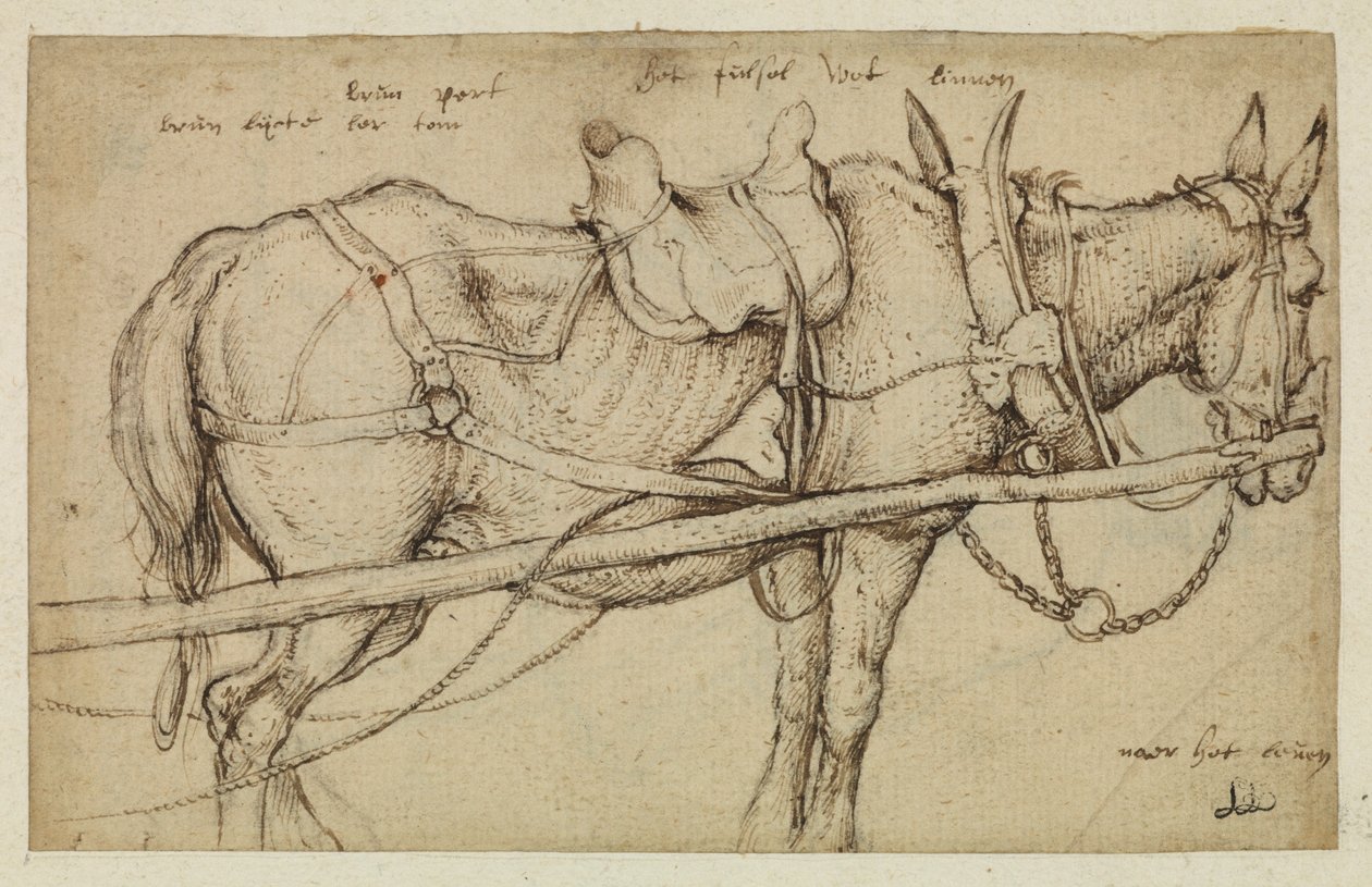 harness具 作者 罗兰特·雅各布斯（Roelandt Jacobsz）。储蓄