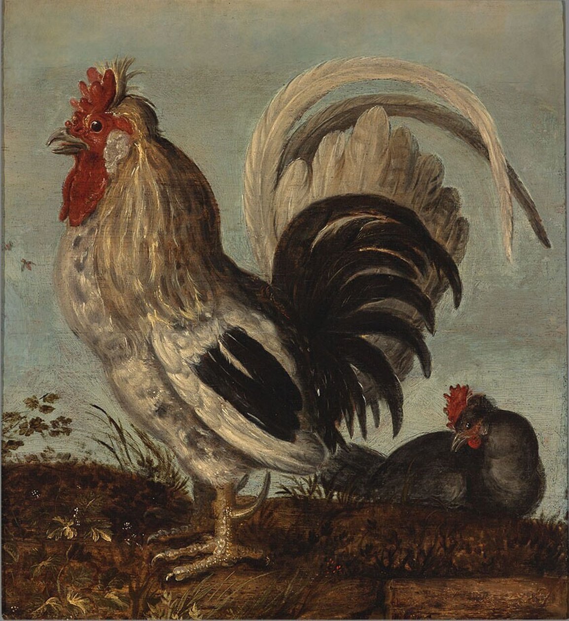 一只公鸡 作者 罗兰特·雅各布斯（Roelandt Jacobsz）。储蓄