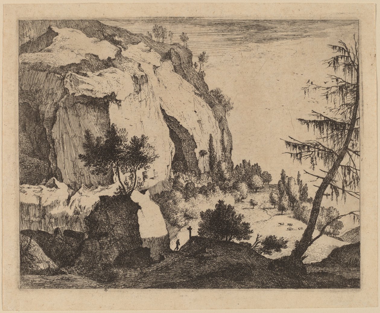 岩石景观与冷杉: pl.4 作者 Roelant Roghman 和 Melchior Küsel