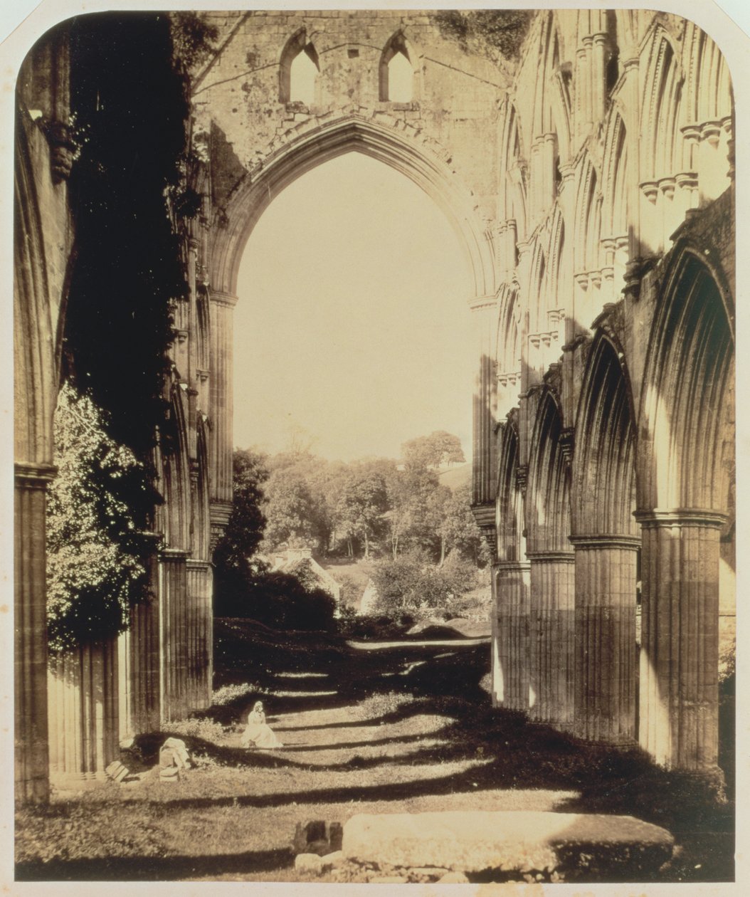 北约克郡Rievaulx修道院，1854年（棕褐色照片） 作者 罗杰芬顿