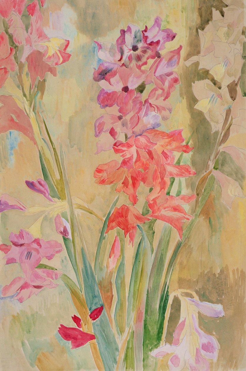 Gladioli，c.1915（纸上写着） 作者 罗杰·艾略特·弗莱