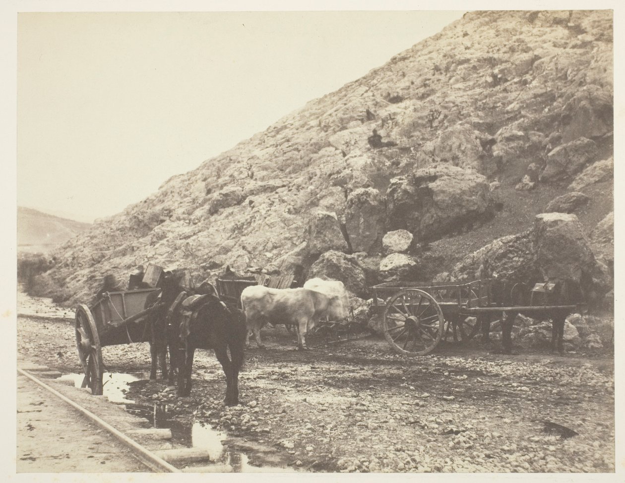 牛和马车，离开巴拉克拉瓦，1855年。 作者 罗杰芬顿
