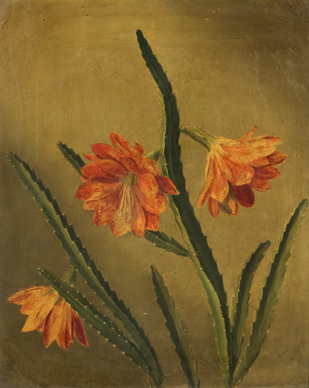 花的研究（布面油画） 作者 罗琳达·夏普尔斯