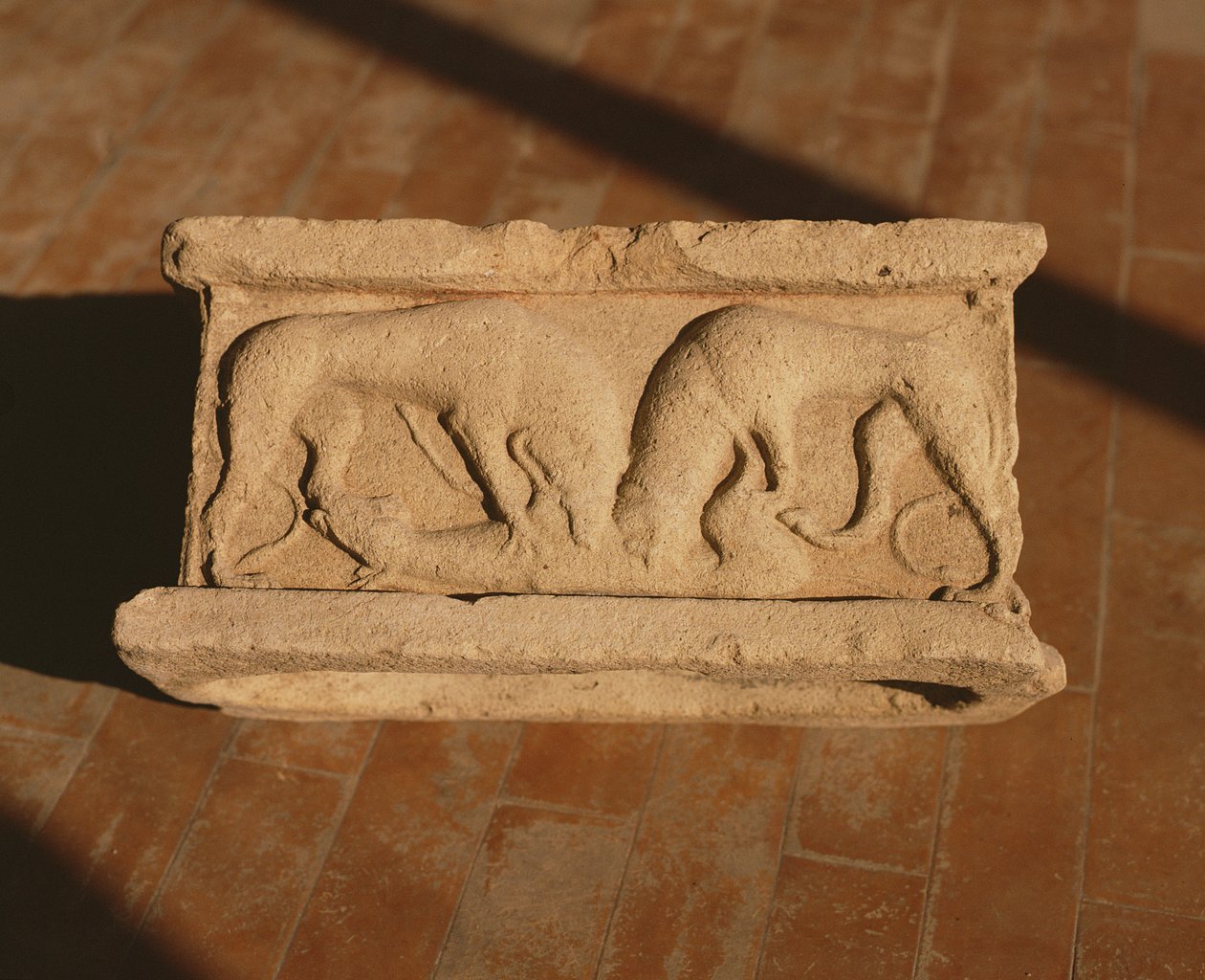 Arula 作者 小说