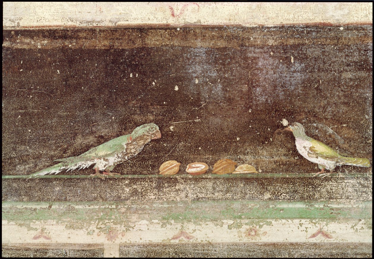 鸟类吃坚果，细节从用埃及风格的绘画装饰的tablinium，c.27-14 BC 作者 小说