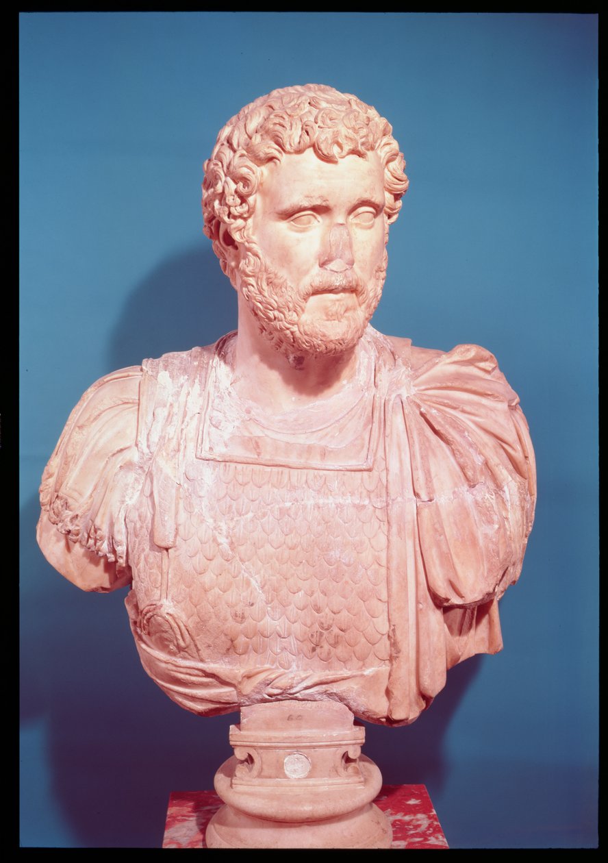 皇帝Antoninus Pius的胸围（公元86-161）（大理石） 作者 小说