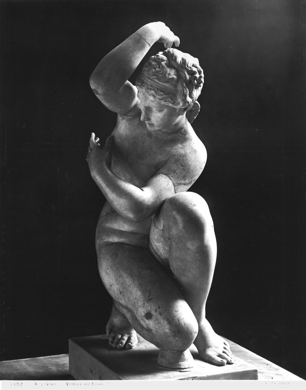 卧虎藏龙，公元前3世纪希腊原版（大理石）的复制品（另见191002,191003） 作者 小说