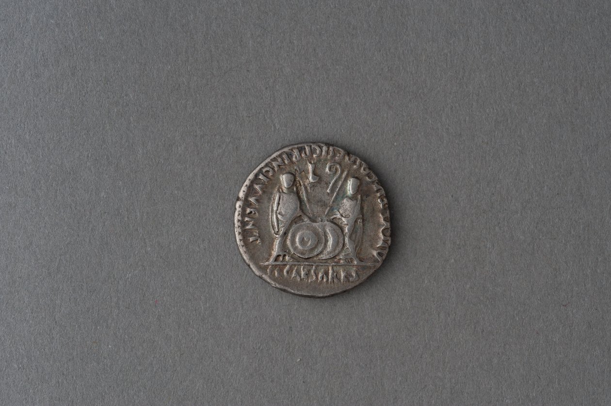 奥古斯都的Denarius（银色） 作者 小说