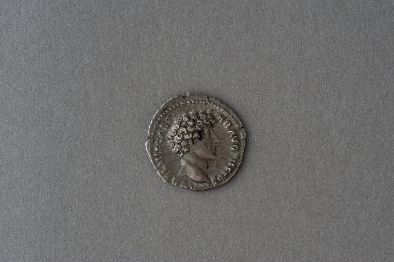 Commodus Denarius（银色） 作者 小说