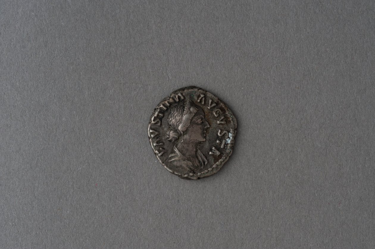 福斯蒂纳的Denarius（银色） 作者 小说