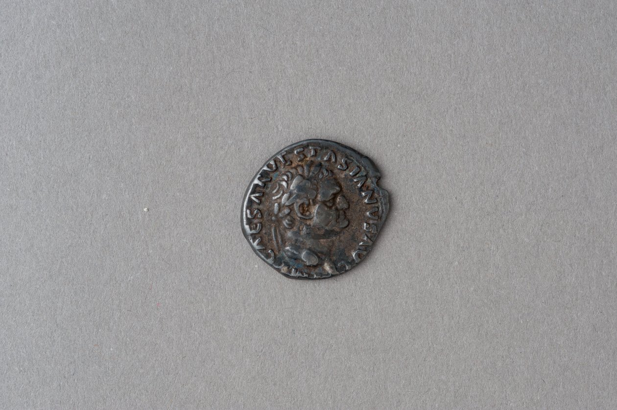 Vespasian的Denarius（银色） 作者 小说