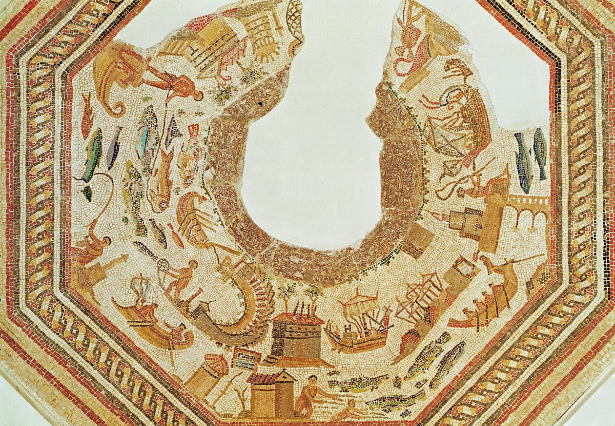 鱼，来自Vega Baja（马赛克）（详见316398） 作者 小说