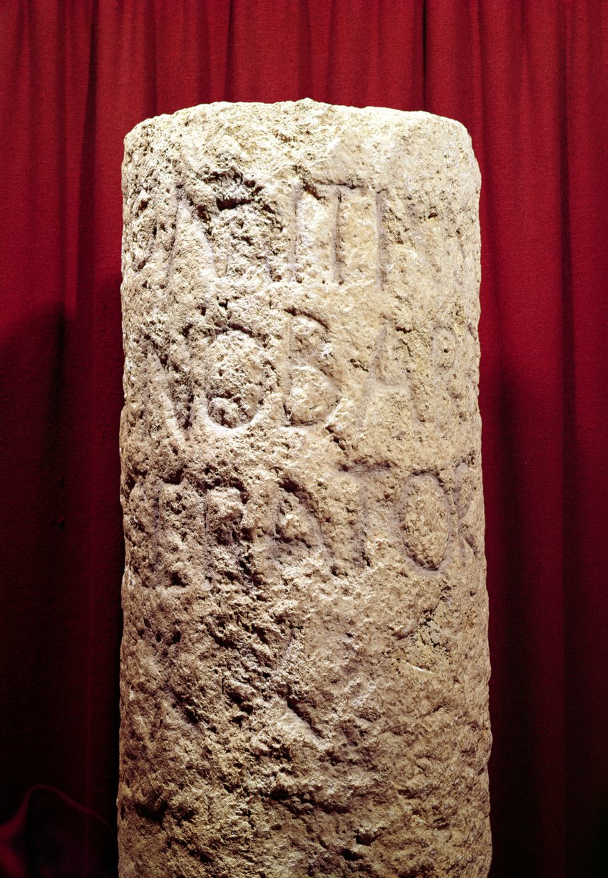 Domitius Ahenobarbus的军事专栏，罗马纳博讷的创建者，公元前121年 作者 小说