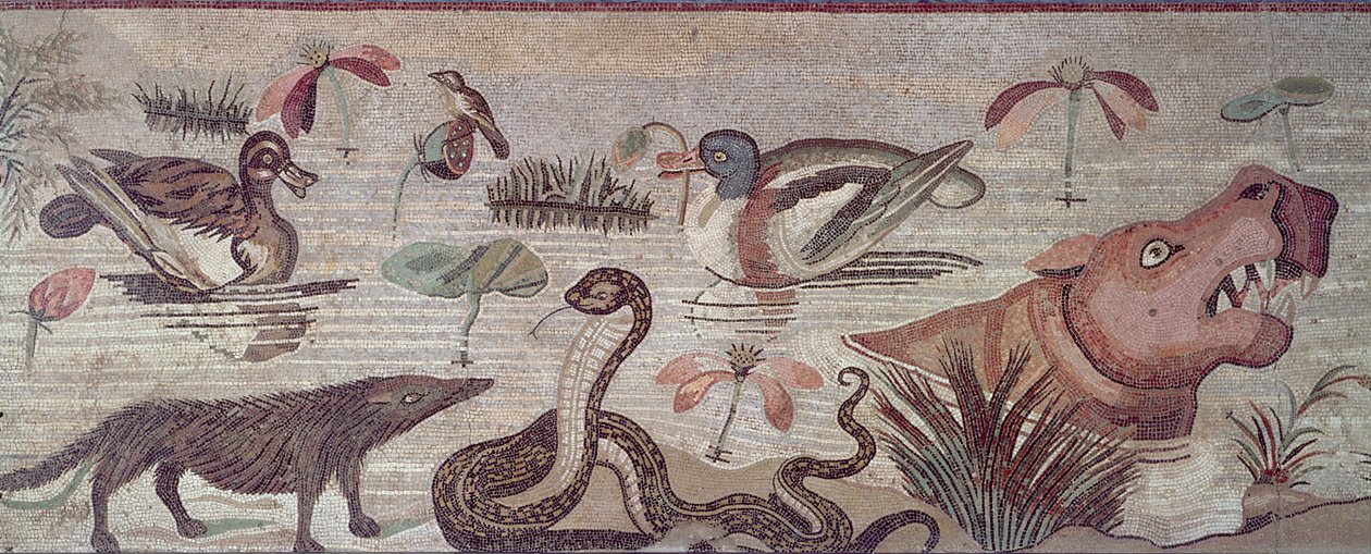 尼罗河景观，鸭子，蛇和河马的细节，来自Faun Pompeii马赛克的Casa del Fauno House 作者 小说