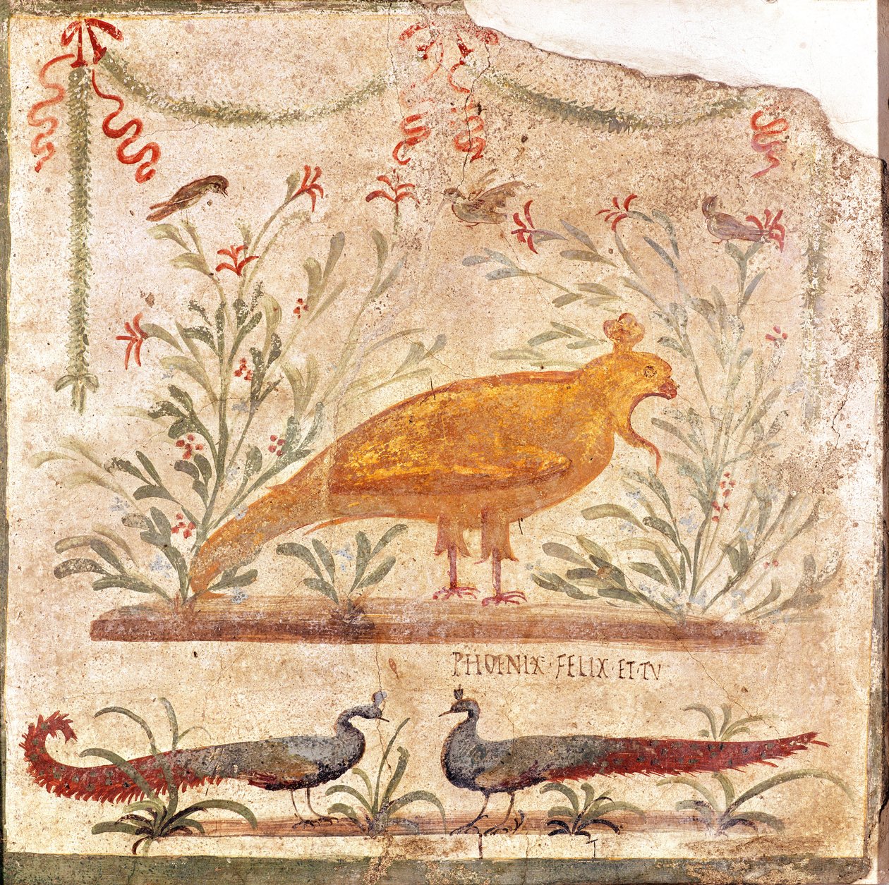 签署描绘凤凰的热火（taverna）和题为&39;Phoenix Felix et Tu&39;，公元前1世纪 - 公元79年 作者 小说