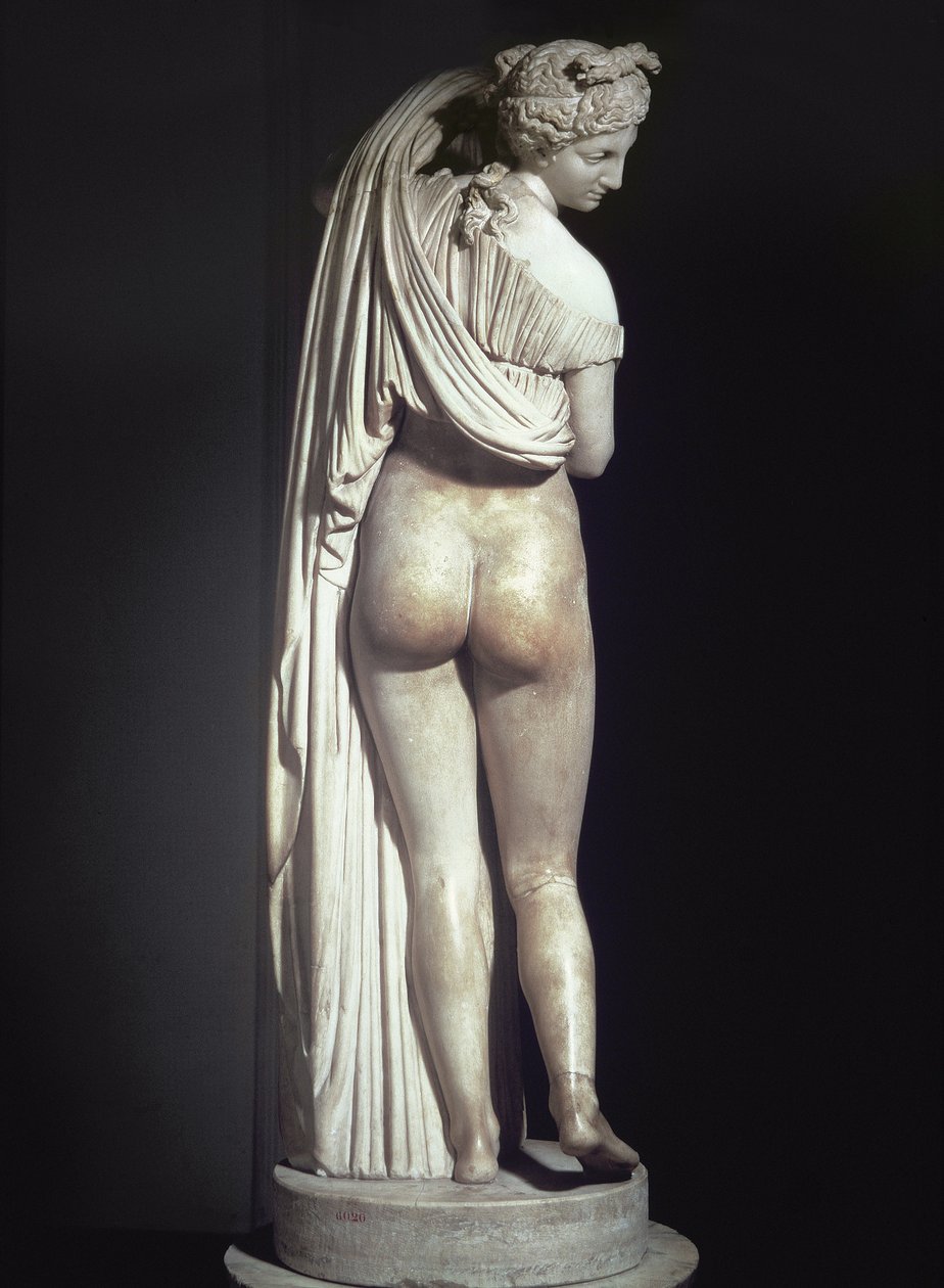 Callipige Aphrodite，公元前2世纪希腊原版（大理石）的副本 作者 小说
