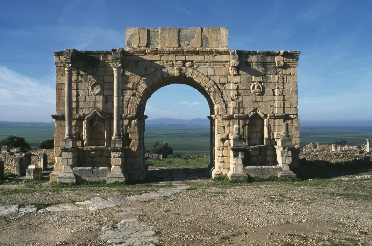 公元217年，在Decumanus Maximus上建造以纪念皇帝卡拉卡拉的凯旋门 作者 小说