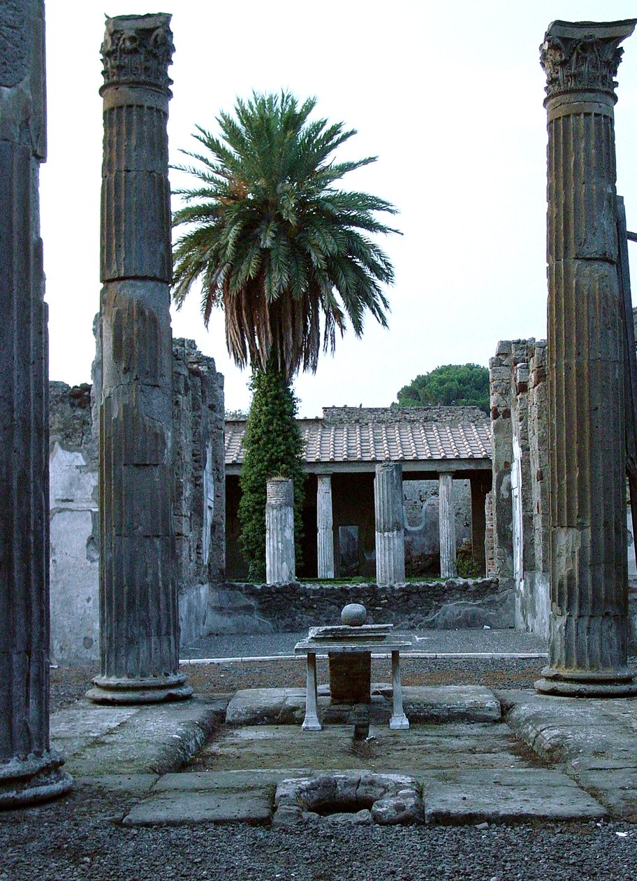 中庭的景色，可能是Casa del Fauno（法恩之家） 作者 小说