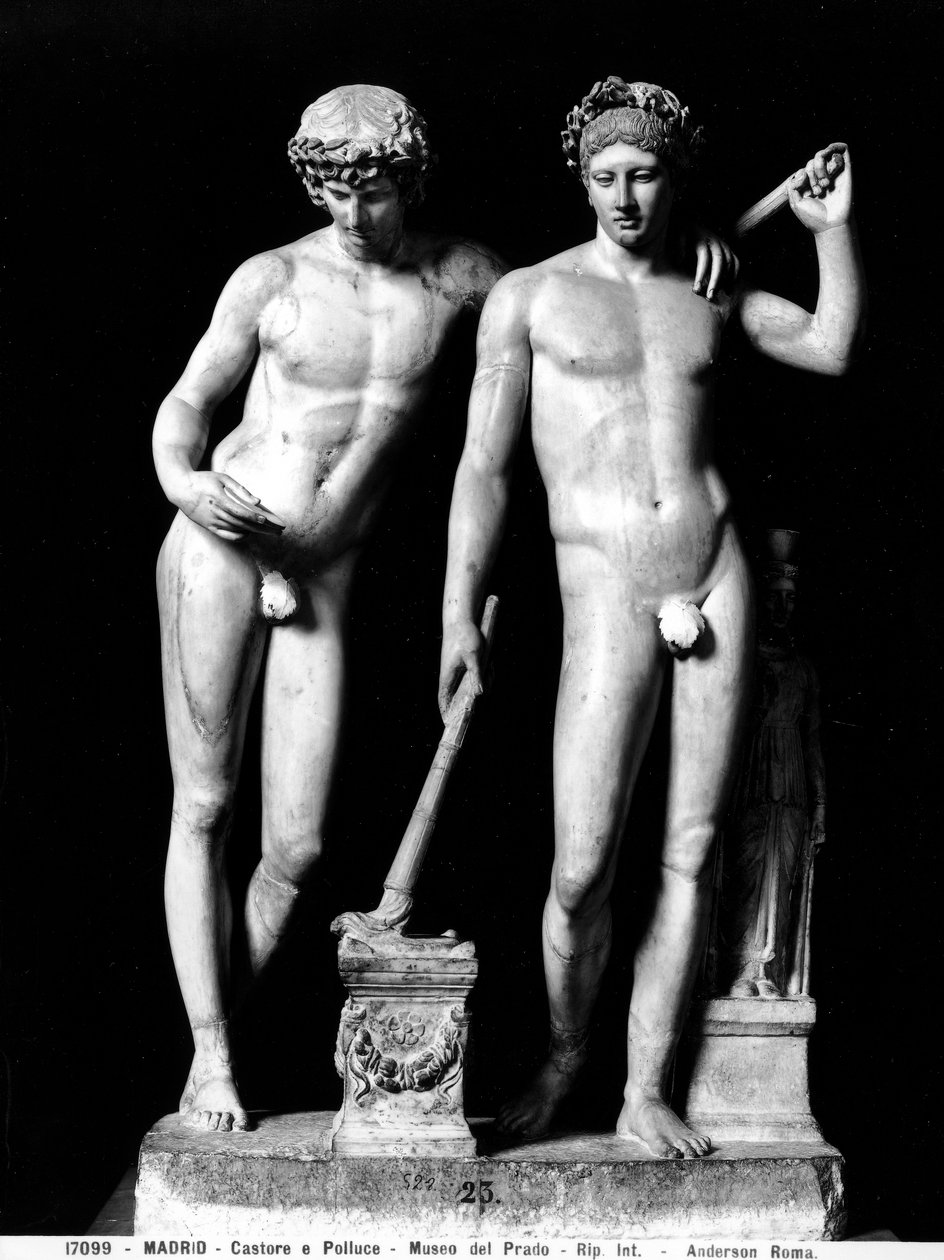 Castor 和 Pollux 或 Orestes 和 Pylades，来自 San Ildefonso 的组（大理石）（黑白照片） 作者 小说