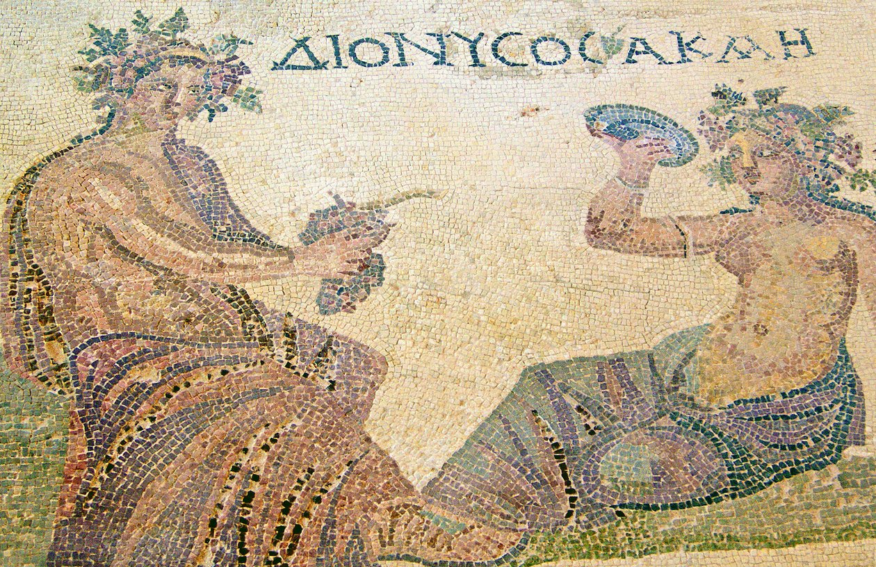 Dionysus为塞浦路斯帕福斯的Dionysos之家提供咨询服务（马赛克） 作者 小说