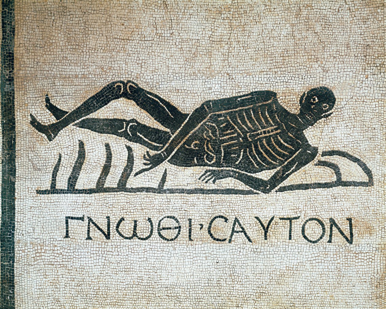 Gnothi seauton（认识你自己 memento mori en 马赛克，来自罗马圣格雷戈里奥修道院的发掘，以公元前 3 世纪的希腊格言为特色） Museo Nazionale Romano (o delle Terme) Rome 作者 小说