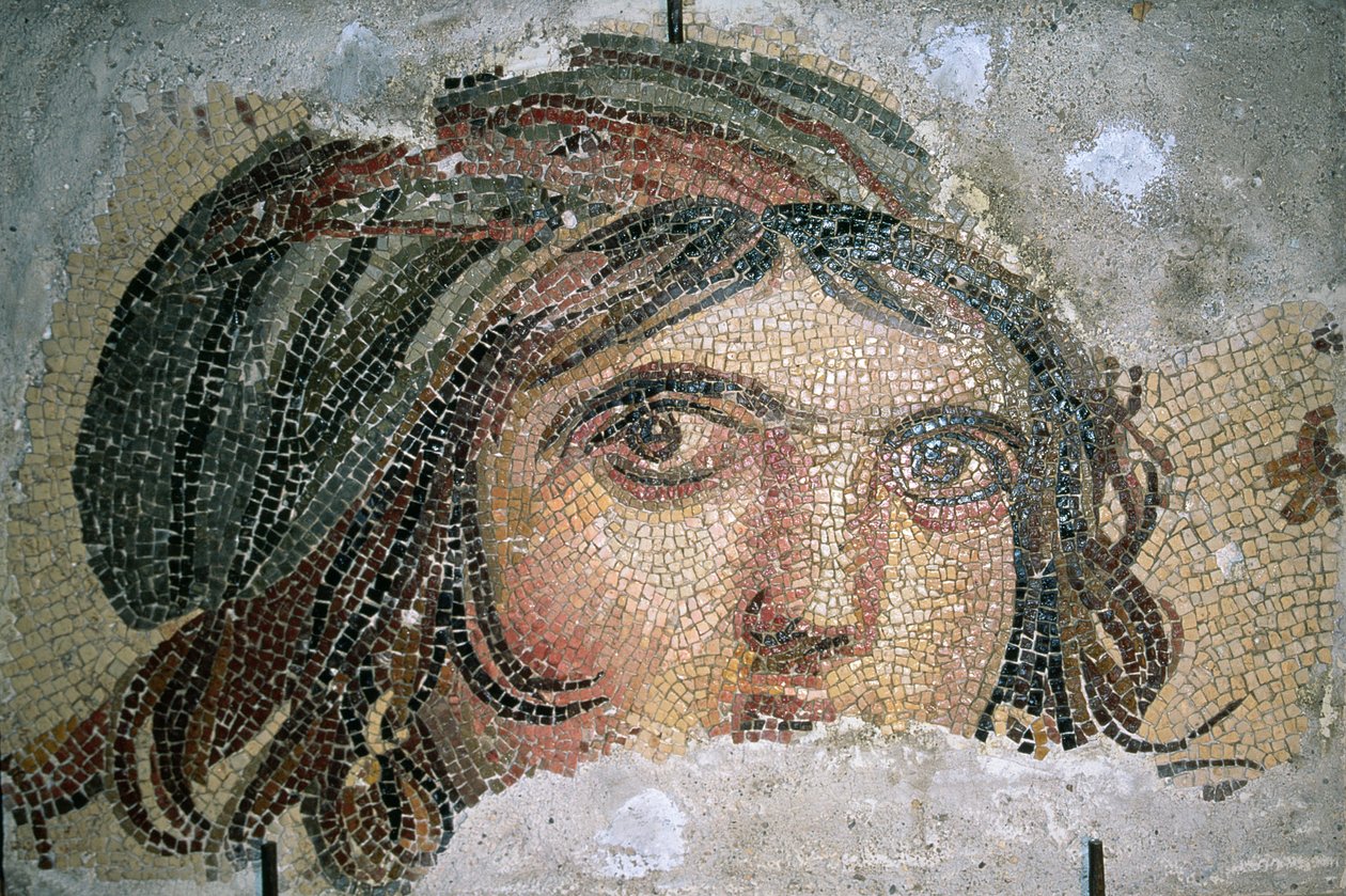 一名吉普赛女郎的头，来自土耳其东南部的Belkis（现Zeugma）（马赛克） 作者 小说