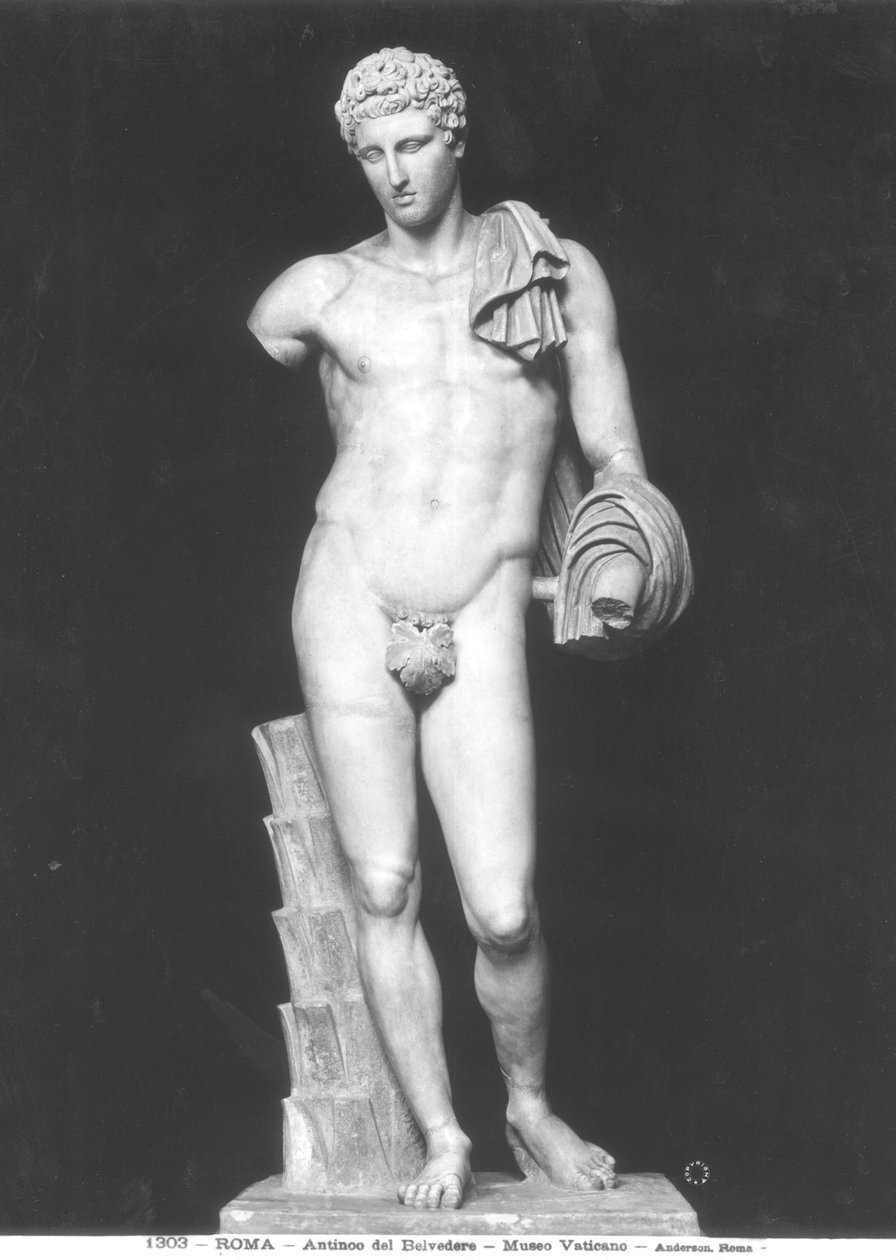赫尔墨斯，称为Antinous del Belvedere（大理石）（黑白照片）。 作者 小说