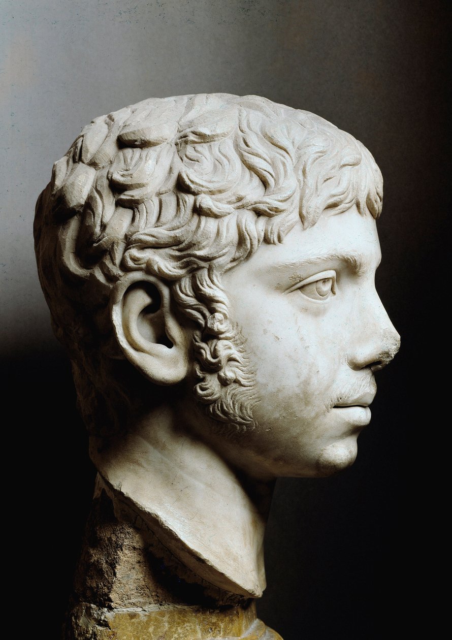 Elagabal 或 Heliogabale 的大理石头像（Marcus Antoninus 或 Elagabalus）（公元 204-222 年） - 罗马，国会博物馆 - 罗马皇帝哈德良（204-222）的头像，也被称为 Elagabalus（PF Avitus Bassianus） - 大理石雕塑 - 博物馆罗马国会大厦 作者 小说