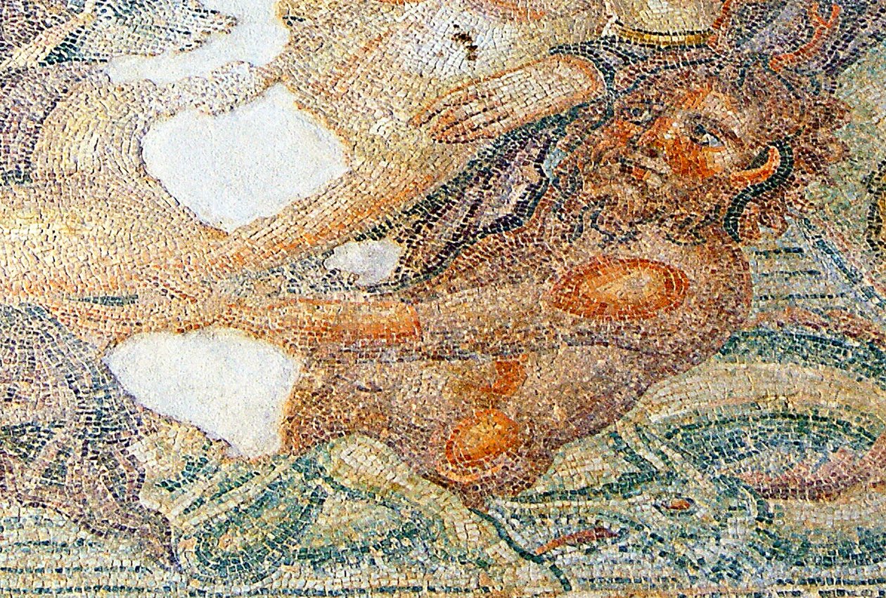 Nereides和Bythos，Bythos细节，永恒之塔，帕福斯，塞浦路斯马赛克 作者 小说