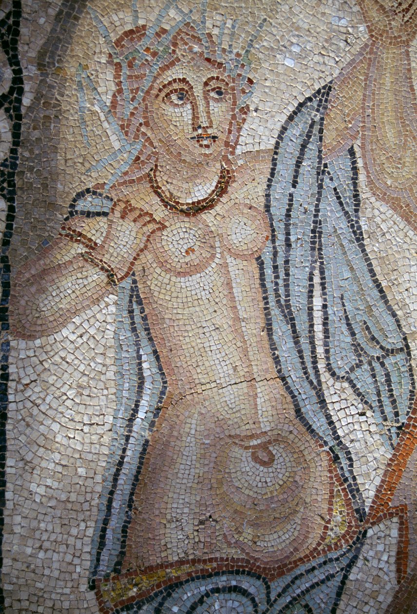 Nymph，来自 Nymphs 绑架 Hylas 的细节，在罗马城市 Volubilis 的金星之家中的马赛克（联合国教科文组织世界遗产名录） 作者 小说