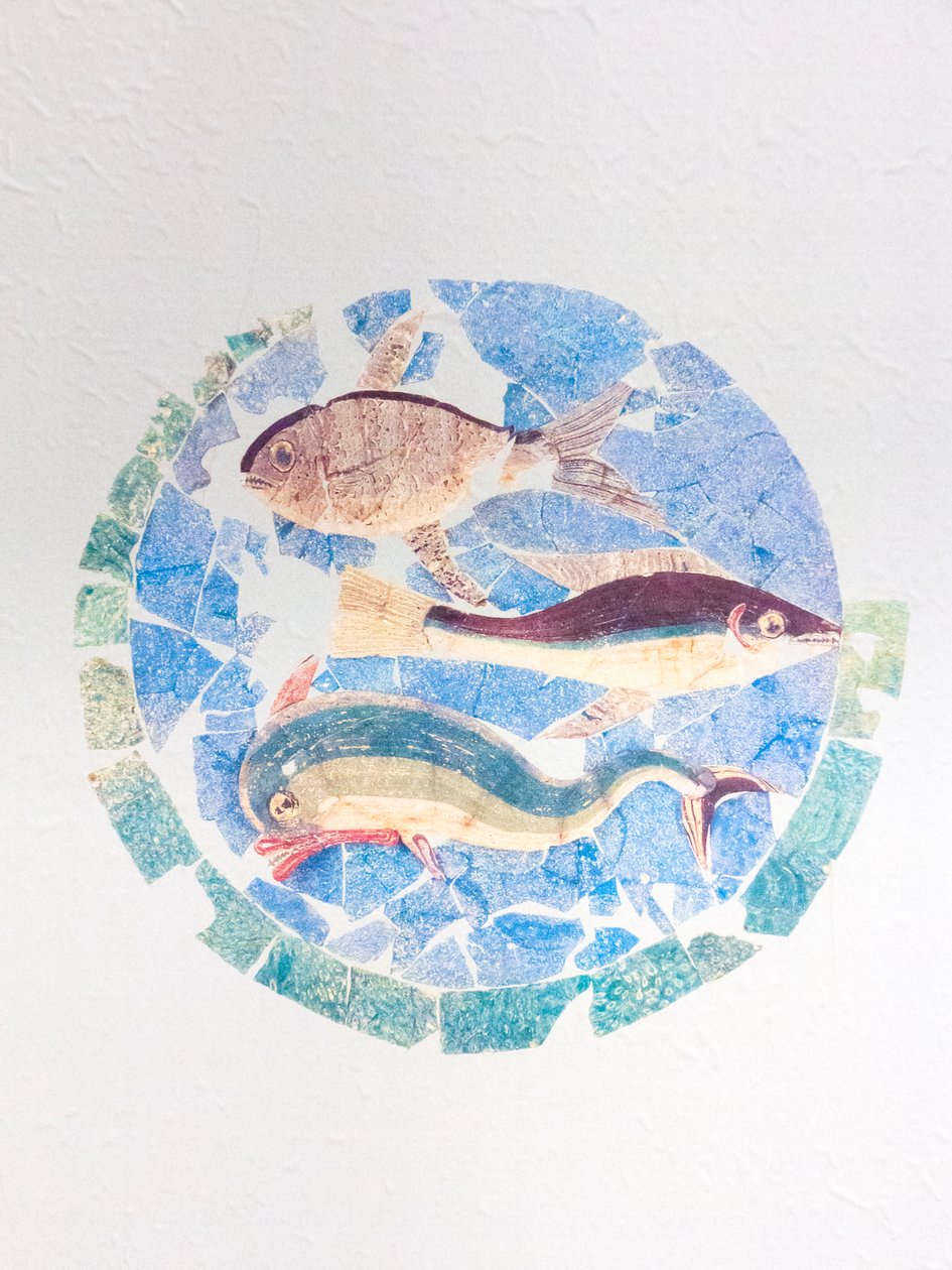里米尼外科医生宅邸中发现的多色绘画 作者 小说