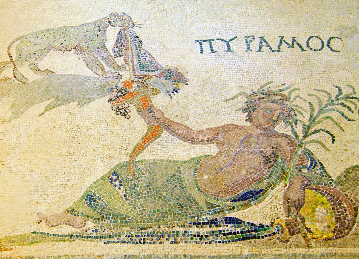 Pyramus和Thisbe，细节Pyramus和豹子，Dionysos议院，帕福斯，塞浦路斯马赛克 作者 小说