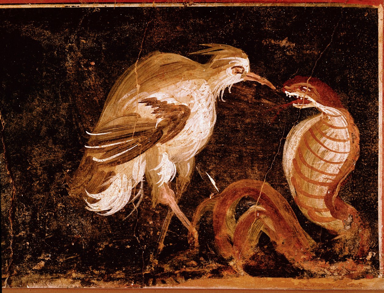 Roman Art: “” Fight between a heron and a cobra”” Roman fresco from the house of the Epigrams, Pompei, Italy (Fight between a heron and a cobra, fresco from the casa degli Epigrammi, Pompeii) 60-80 A.D. 作者 小说