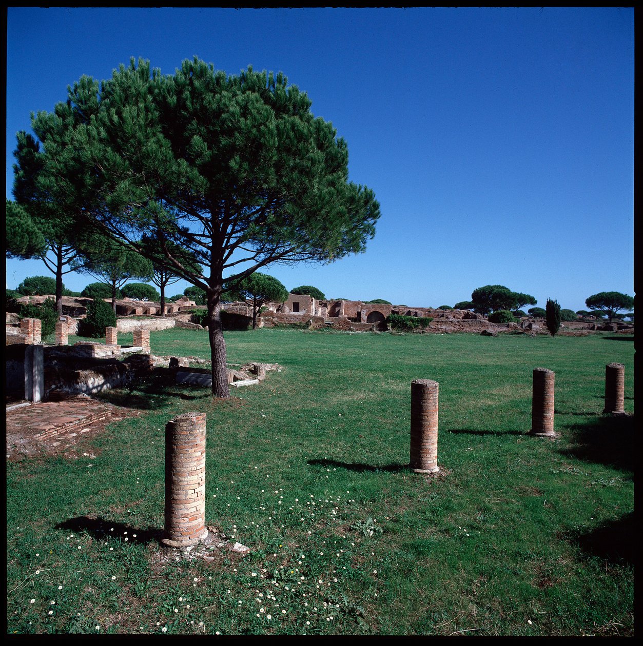 罗马艺术：Campo della Magna Mater的废墟景观，第四区 作者 小说