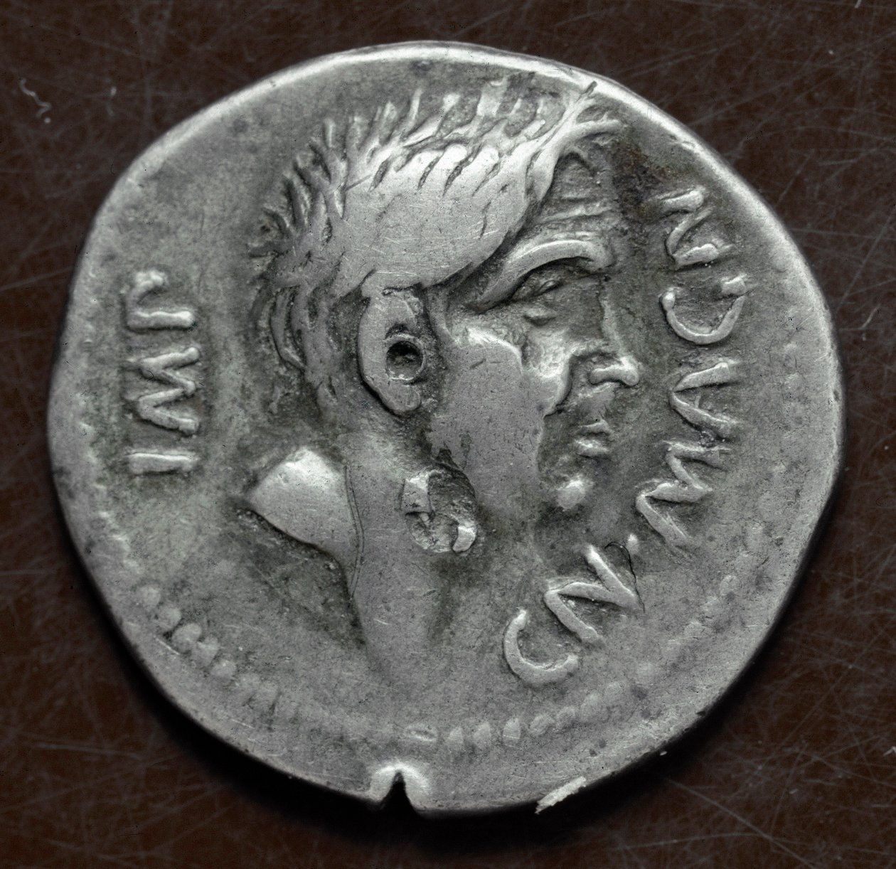 印有庞培大帝 (Gneo Pompeo Magno 或 Gnaeus Pompeius Magnus) 肖像的银币 作者 小说