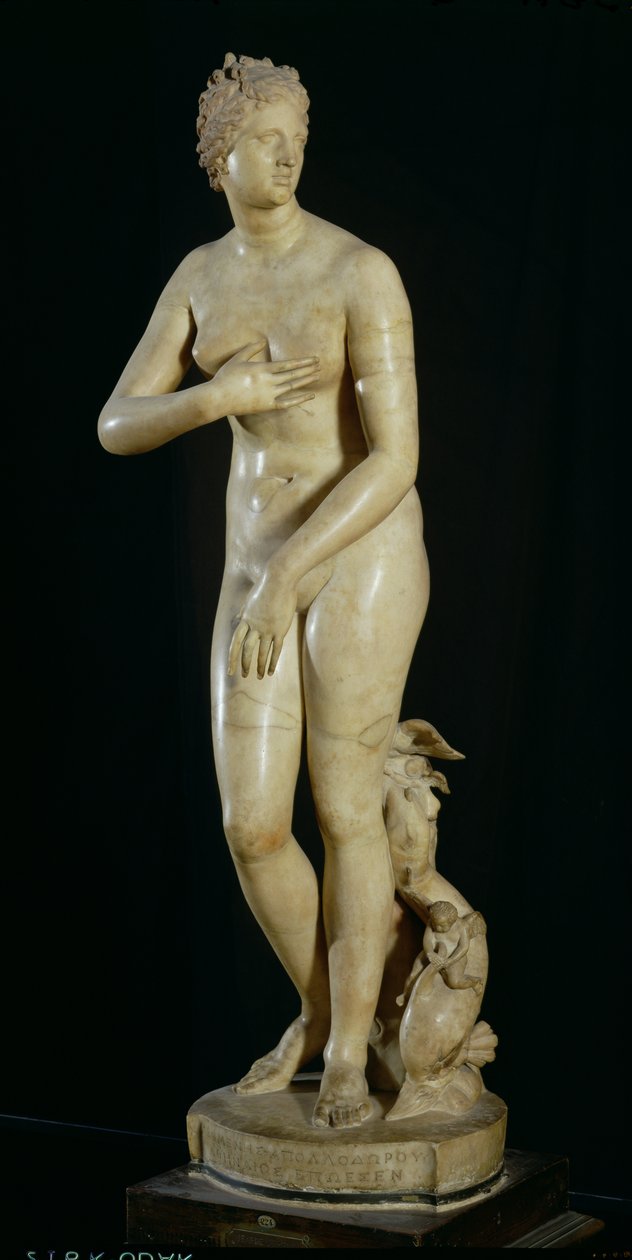 Medici Venus，Praxiteles（公元前370  -  330年）的希腊文原版（大理石） 作者 小说