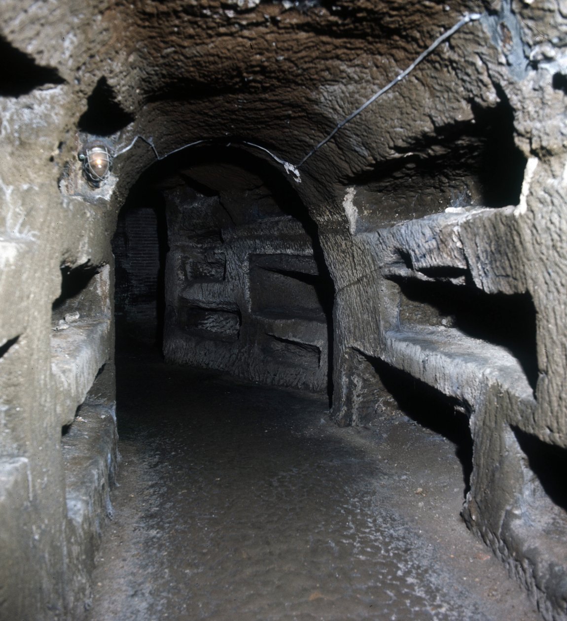Tomb of Scipioni in Rome. 作者 小说