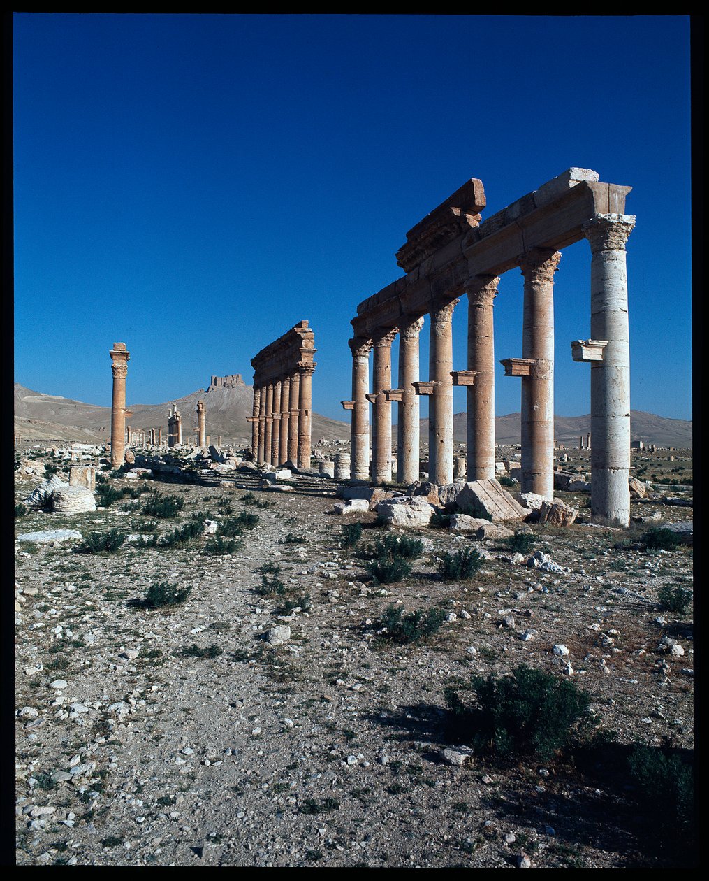 View of Palmyra remains (Photography) 作者 小说