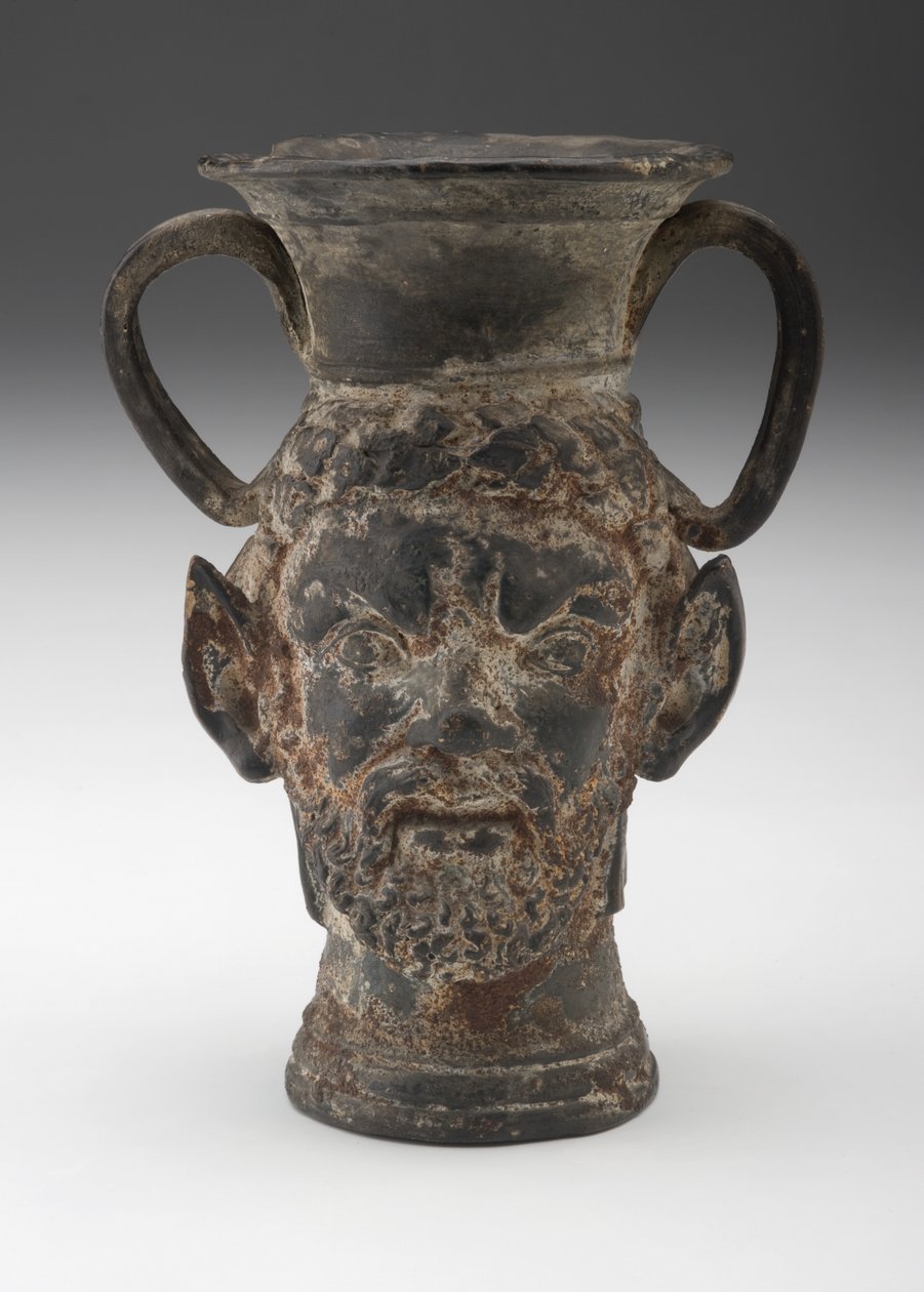 black Janus Vase 作者 小说