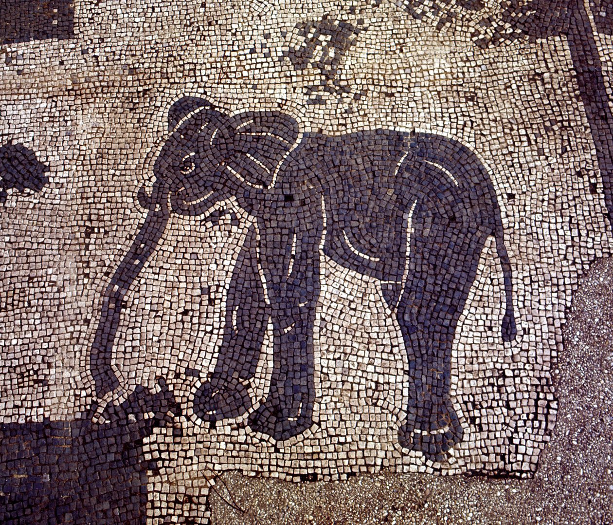 Ancient Ostia (Ostia). Place des Corporations. Mosaic of the Sabratha Seafarers Corporation. 作者 罗马罗马
