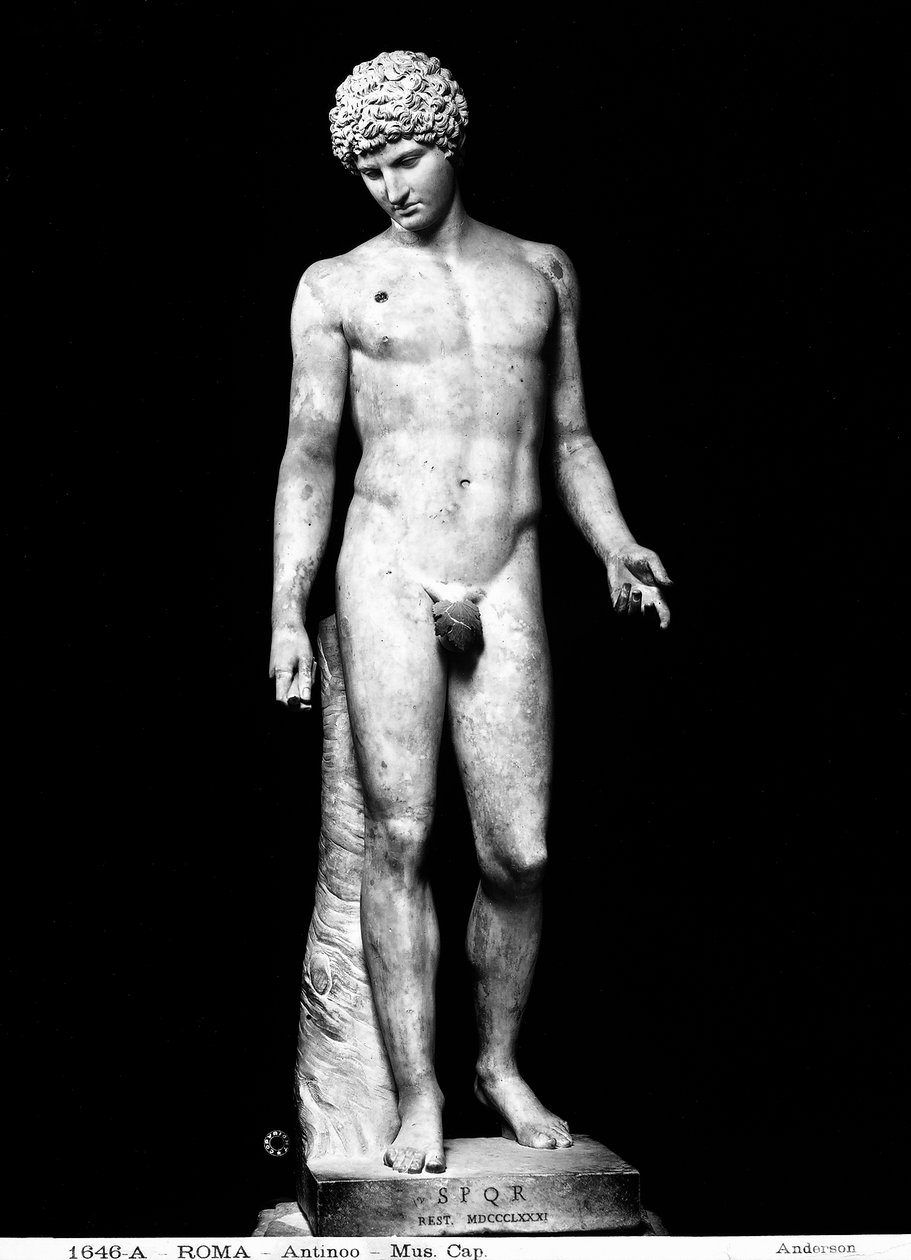 Antinous（大理石） 作者 罗马罗马