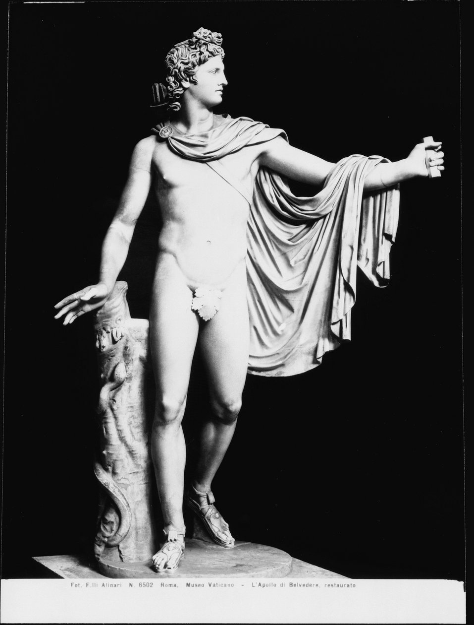 Apollo Belvedere，公元前 4 世纪希腊原件的罗马复制品（大理石）（黑白照片）（修复后） 作者 罗马罗马