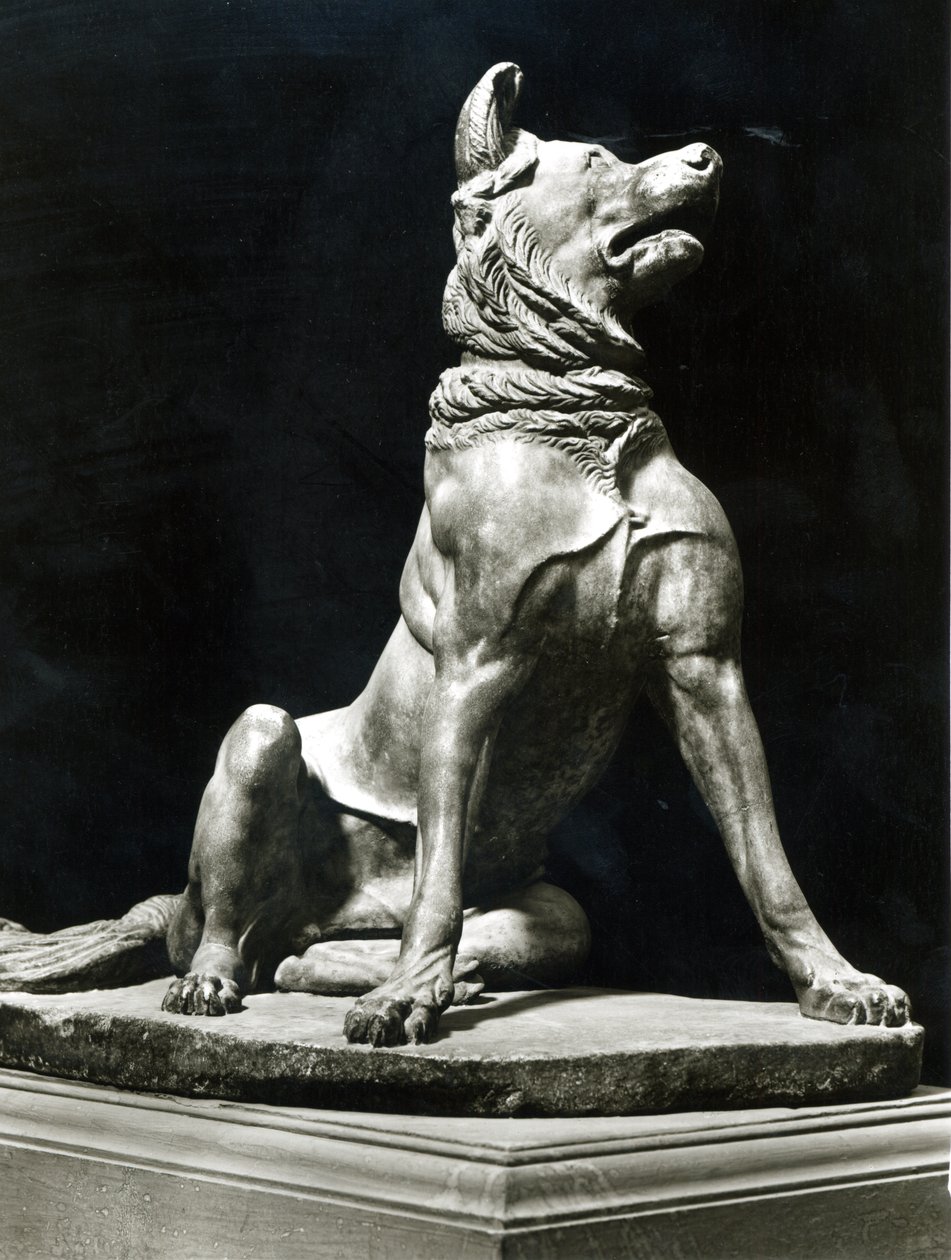 Bullmastiff Galu (nsangalabwi) 作者 罗马罗马